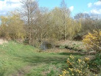 Brickfields Country Park   Boxalls Lane 361793 Image 1